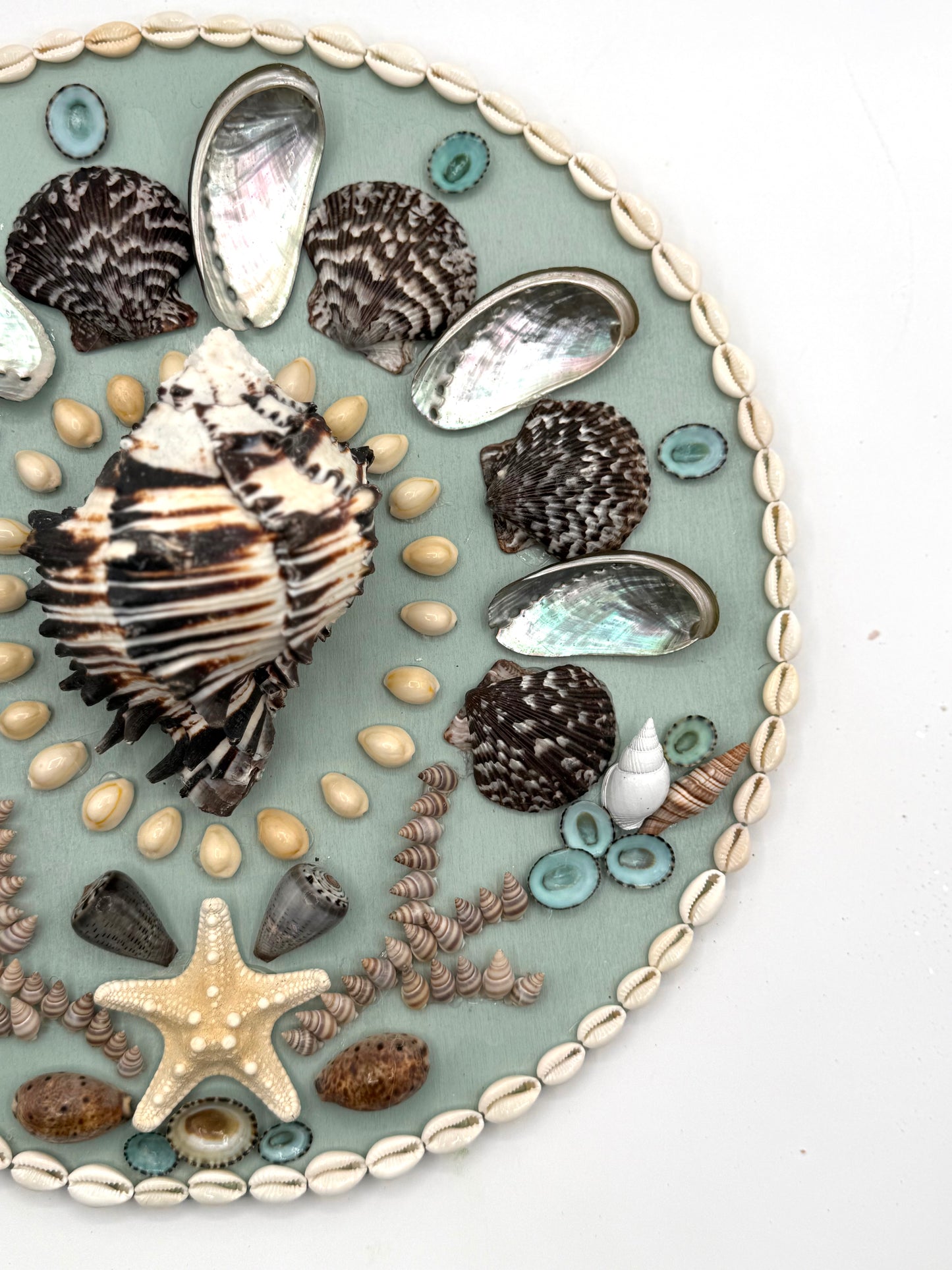 Shell Panel 14"
