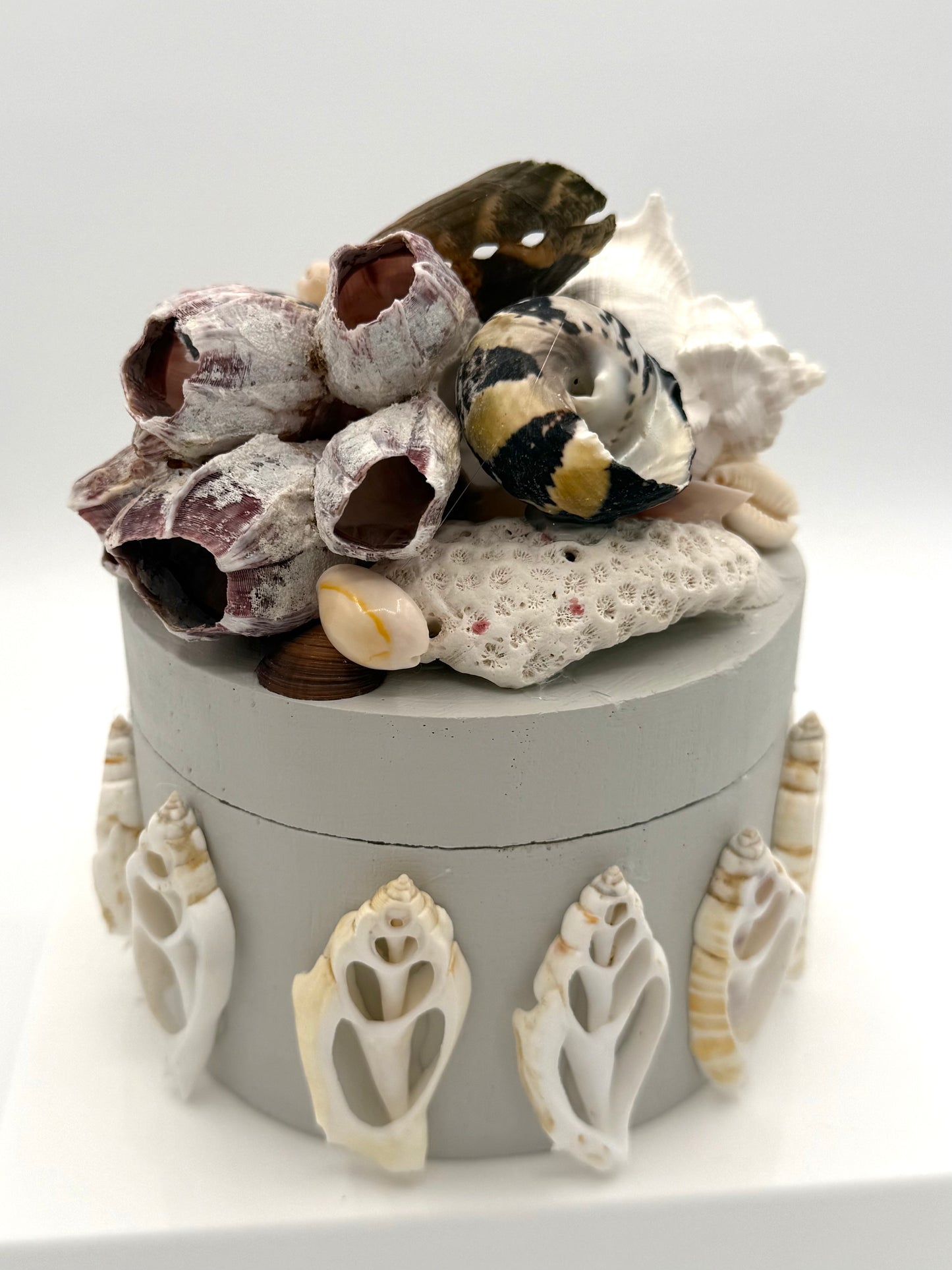 Shell Box