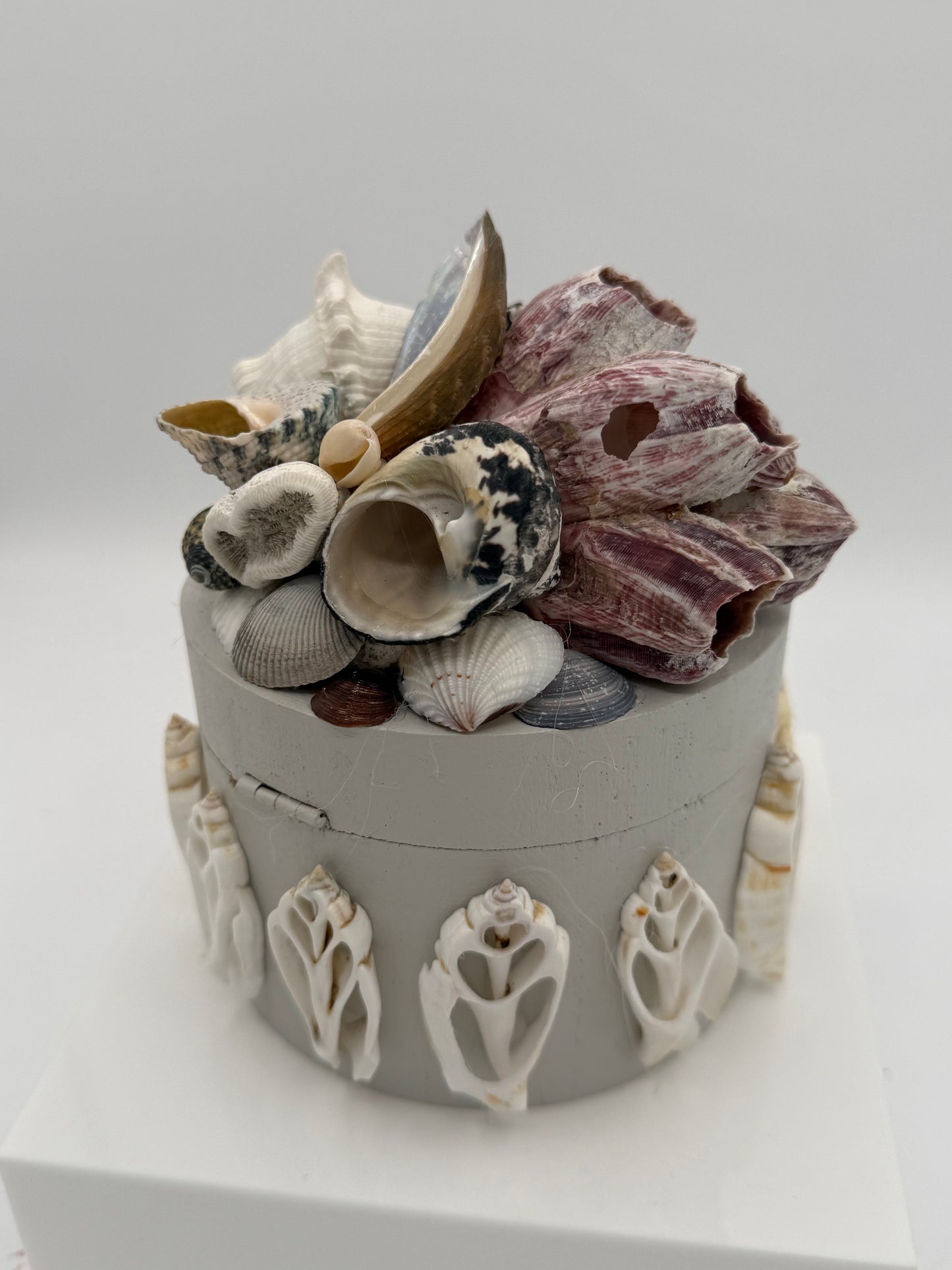 Shell Box