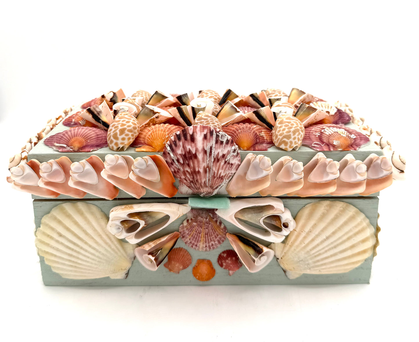 Shell Box