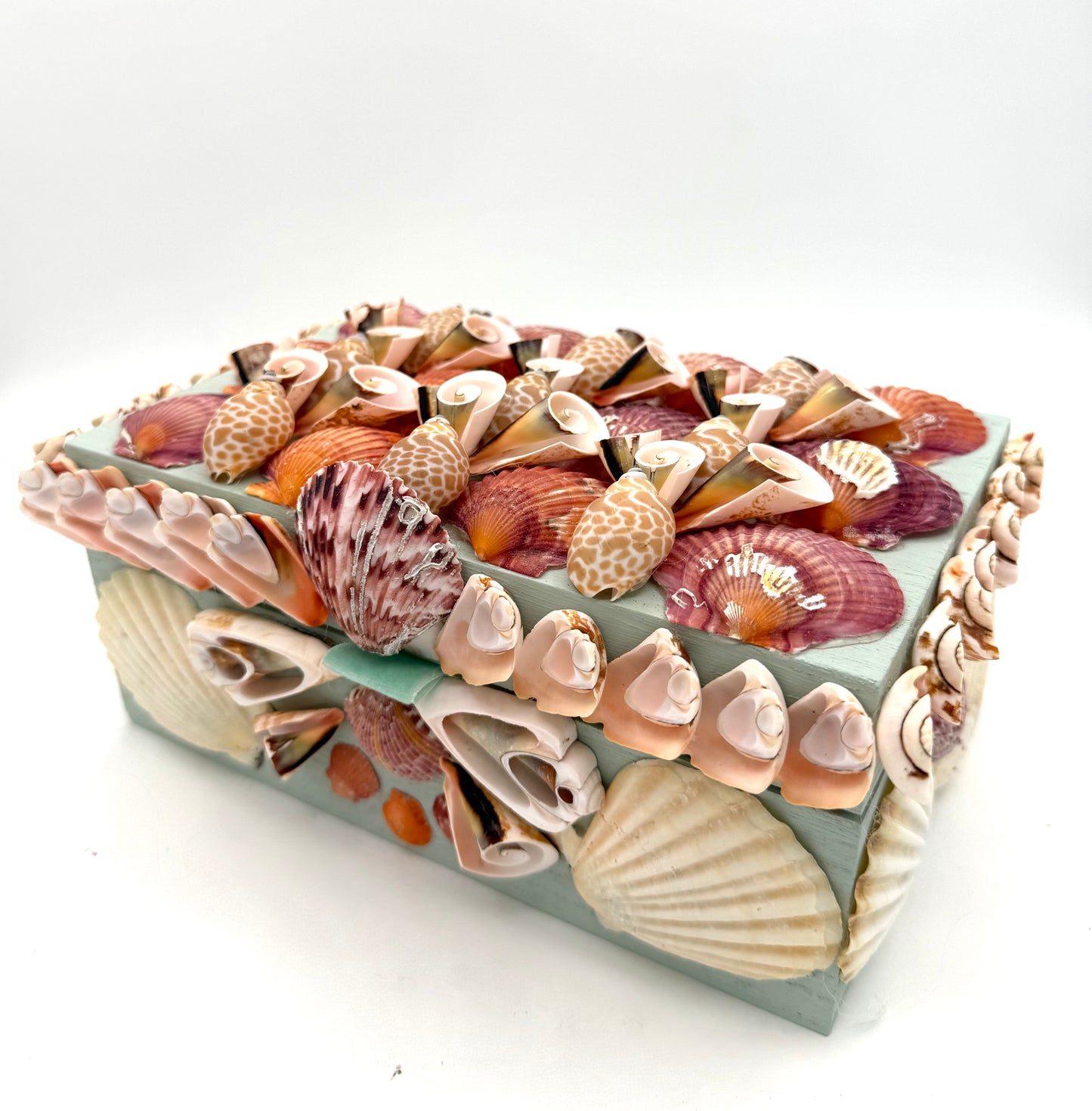 Shell Box