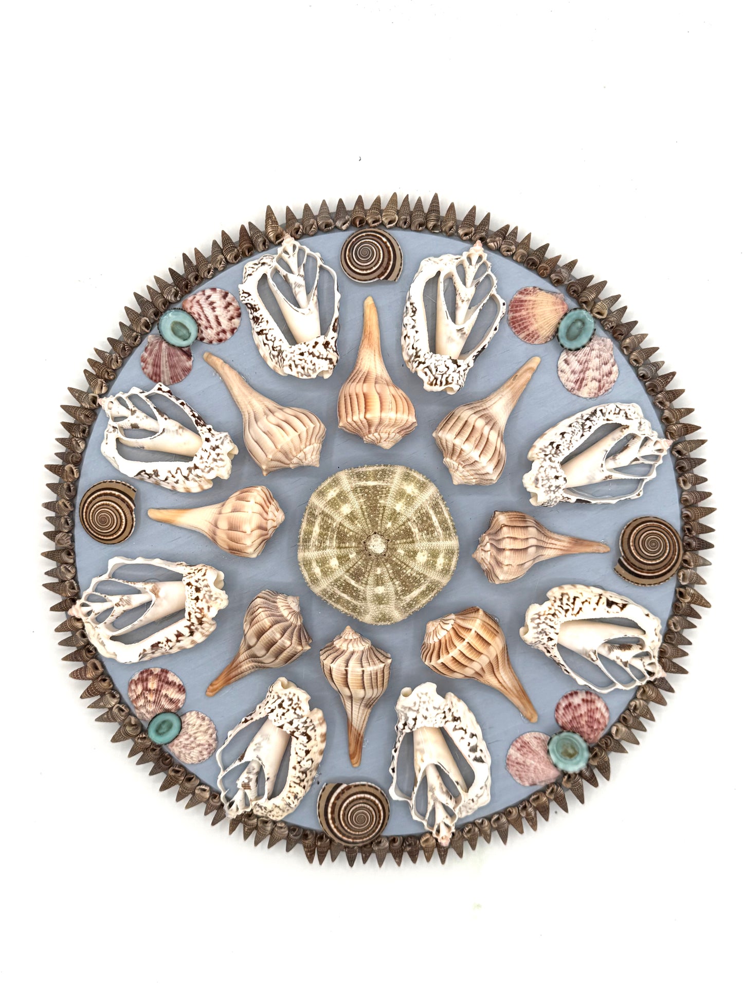 Shell Panel 13"