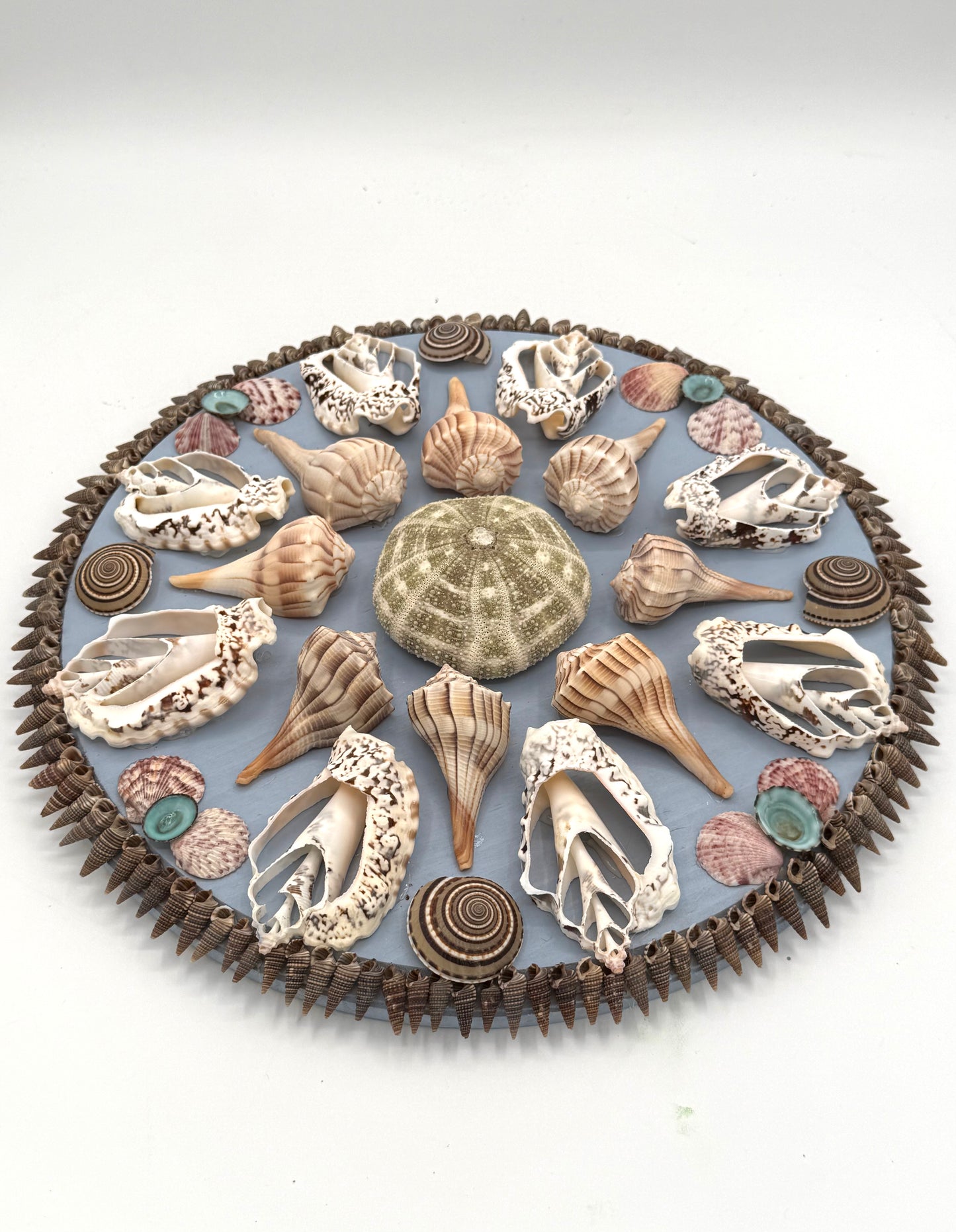 Shell Panel 13"