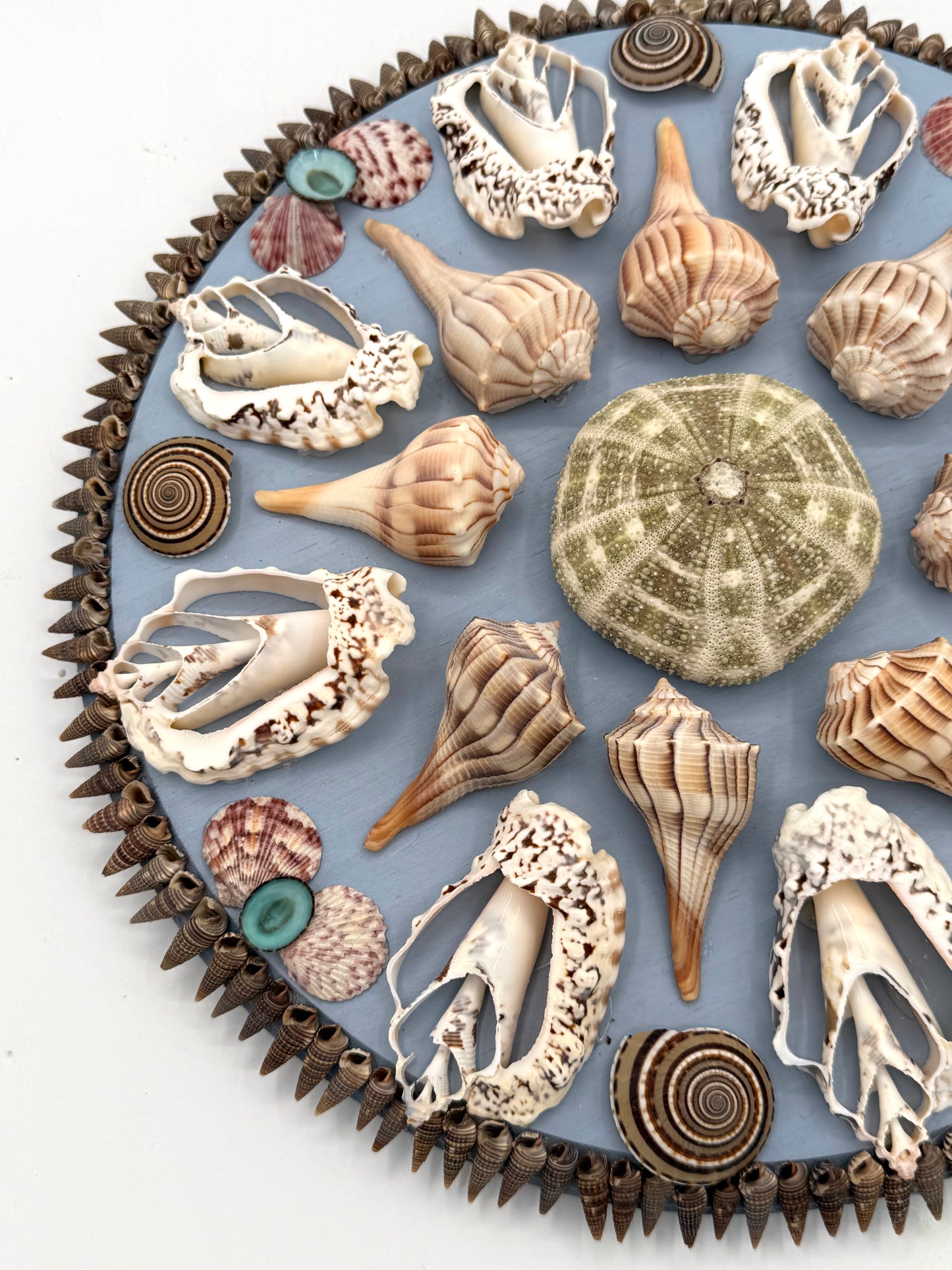 Shell Panel 13"
