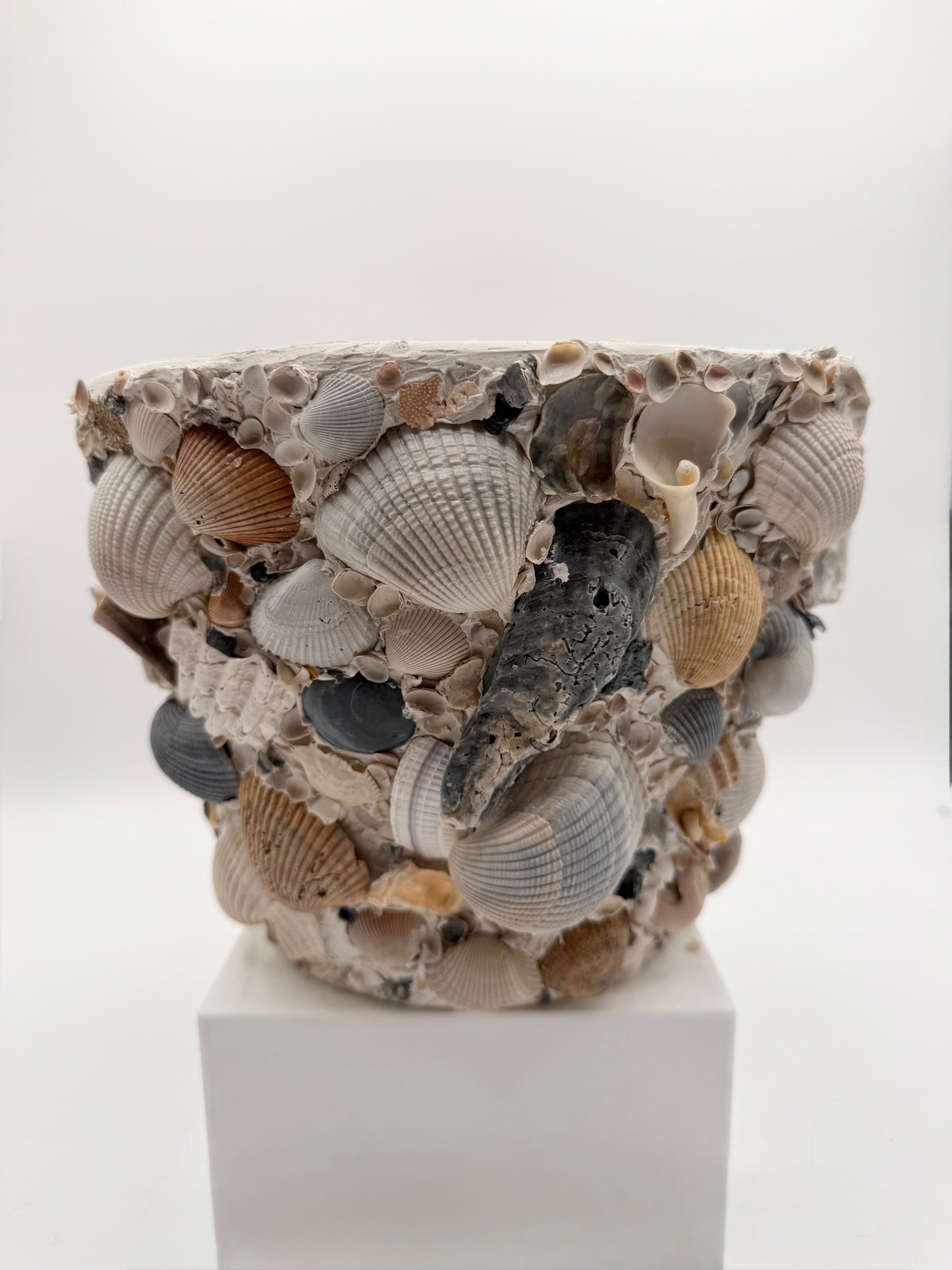 Shell Encrusted Planter