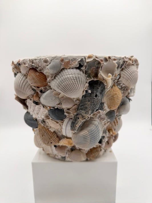 Shell Encrusted Planter