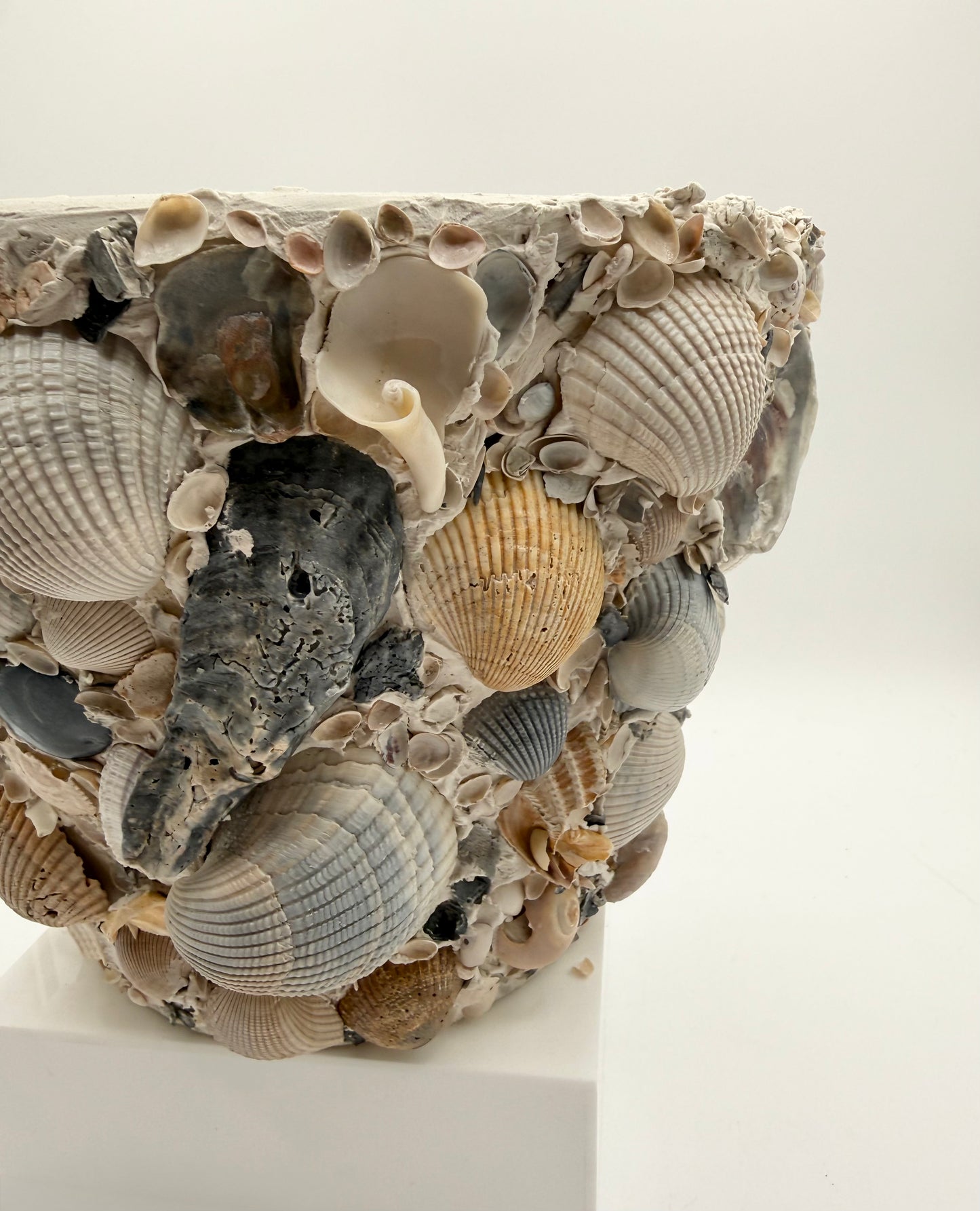 Shell Encrusted Planter