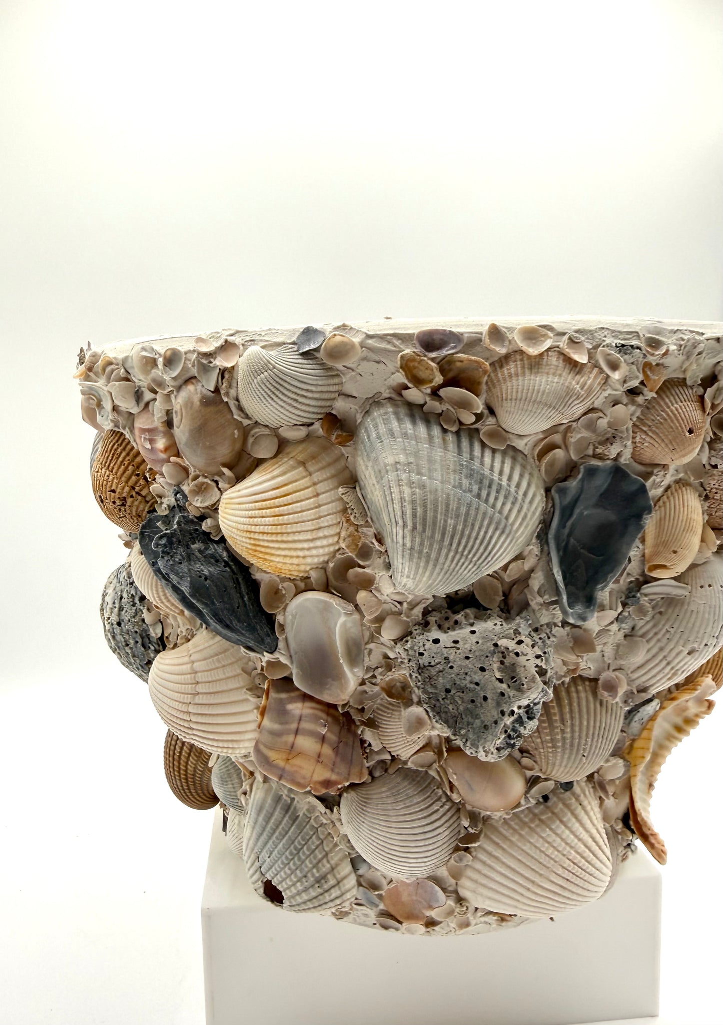 Shell Encrusted Planter