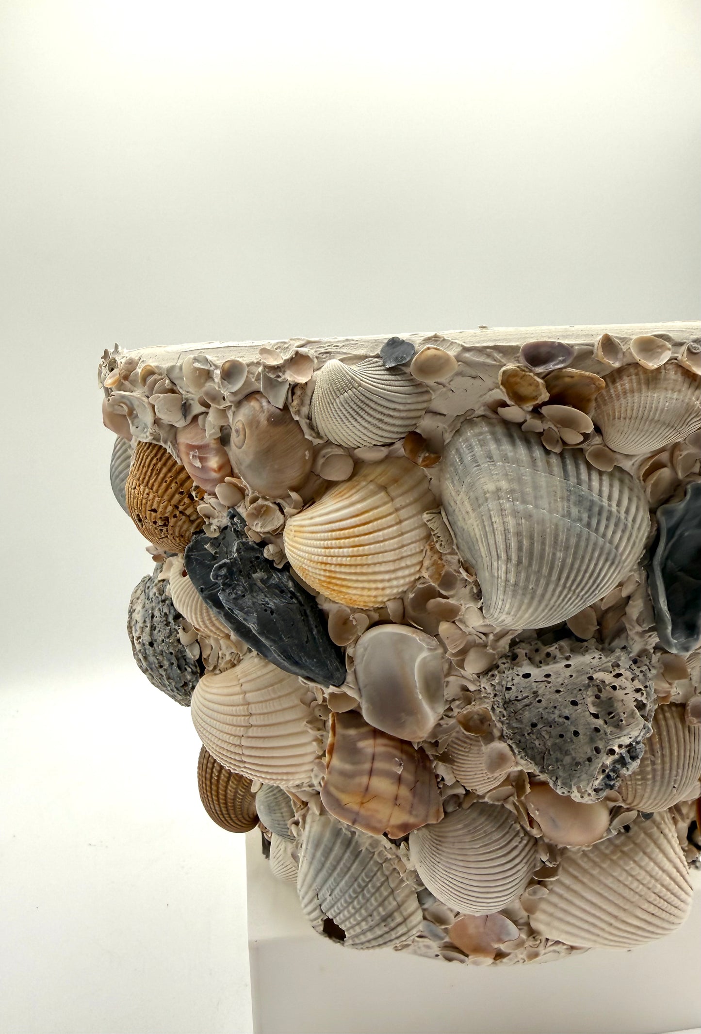 Shell Encrusted Planter