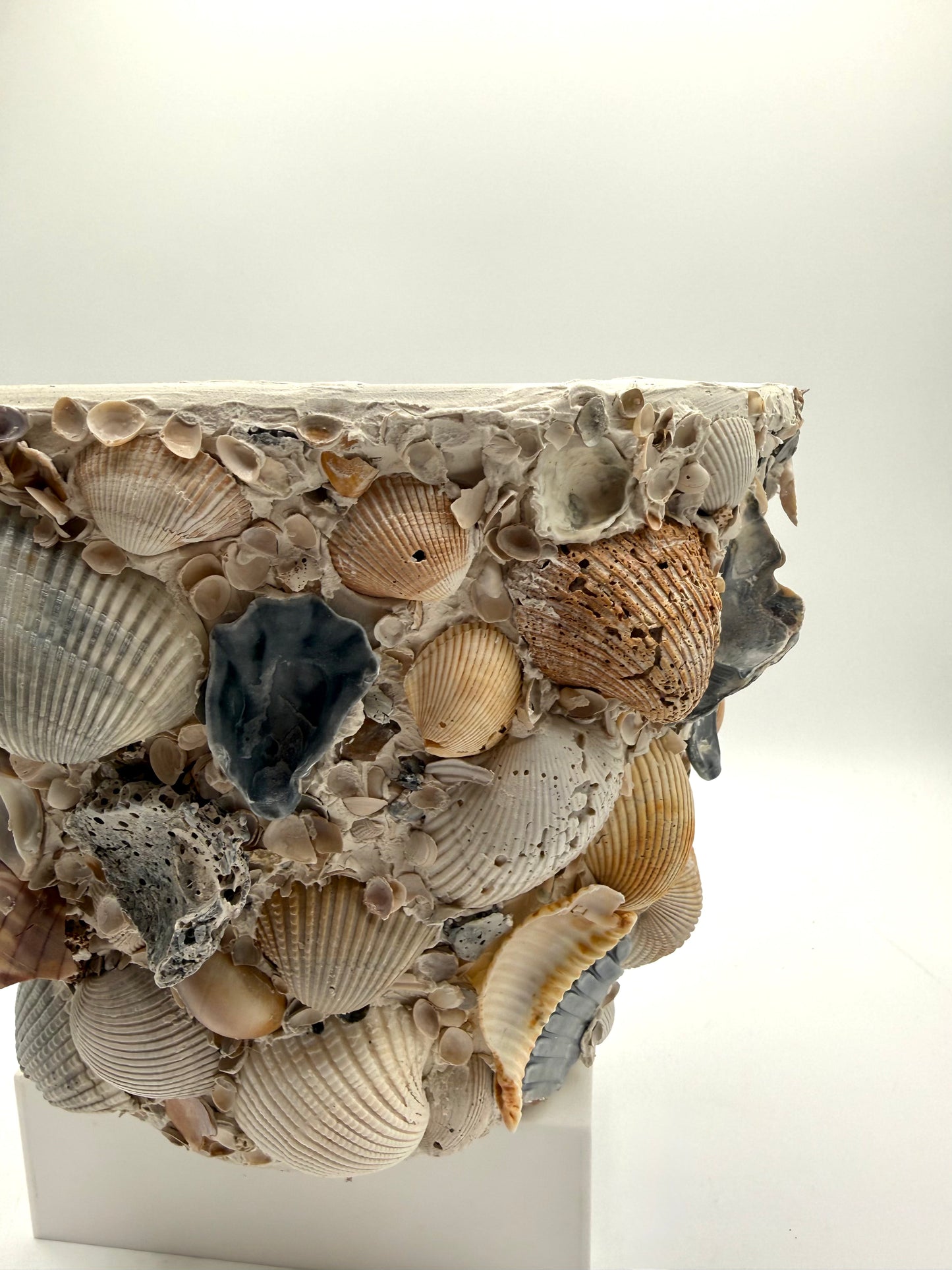 Shell Encrusted Planter