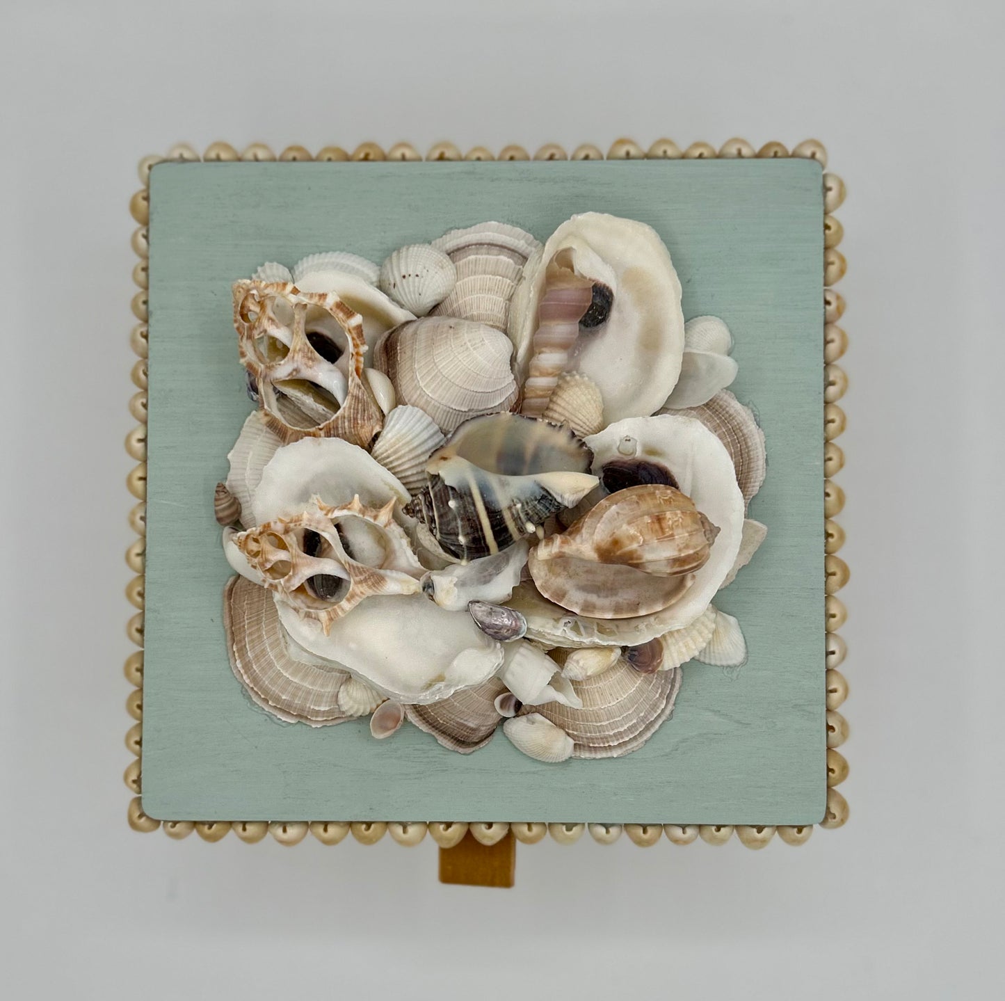 Shell Box