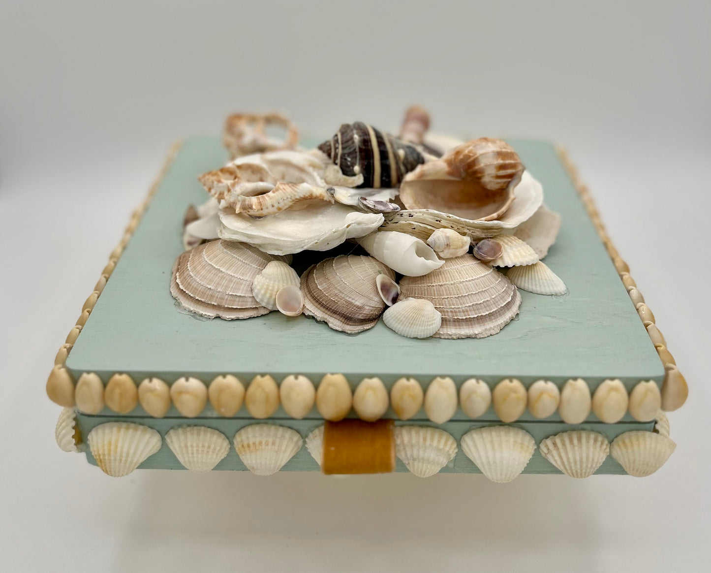 Shell Box