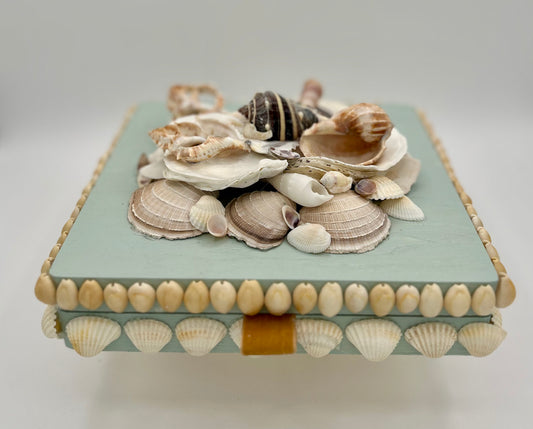 Shell Box
