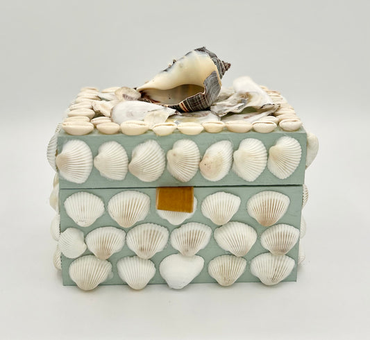 Shell Box