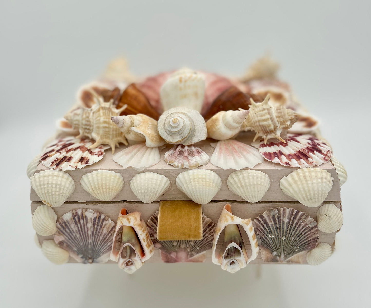 Shell Box