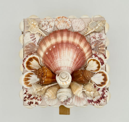 Shell Box