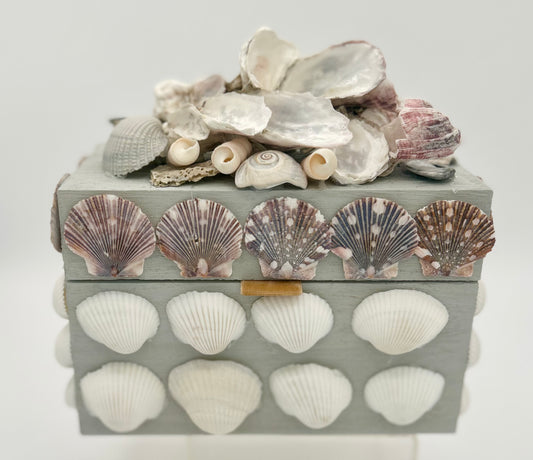 Shell Box