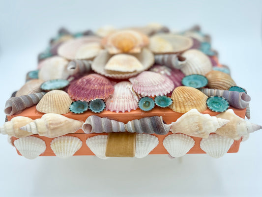 Shell Box