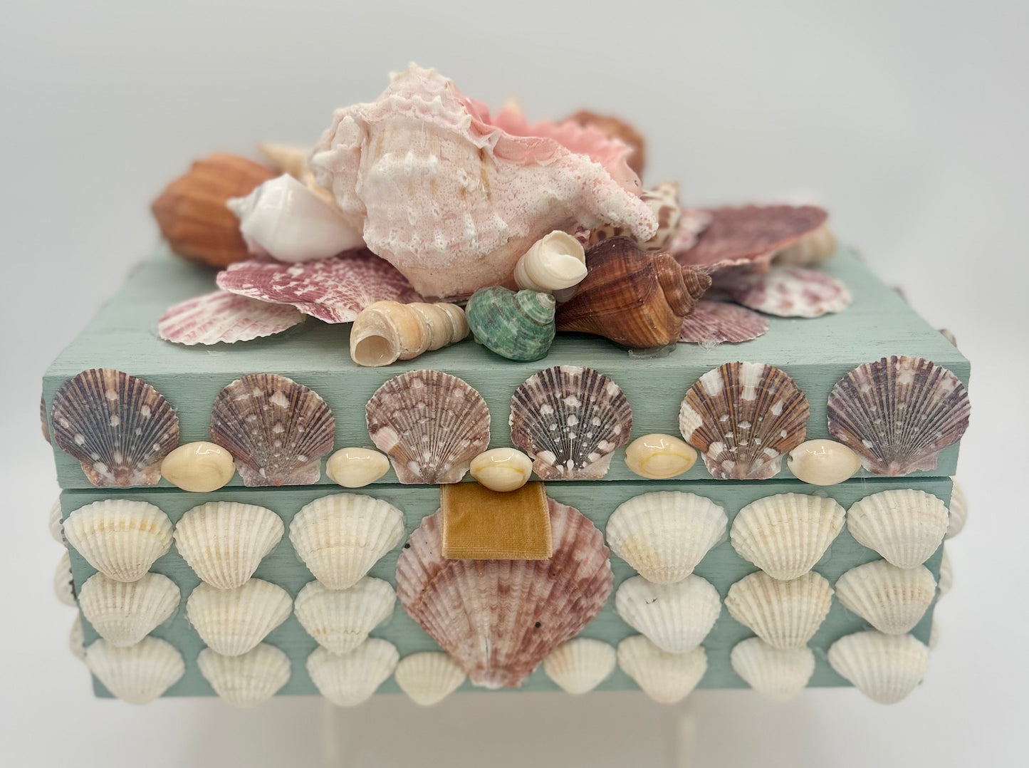 Shell Box