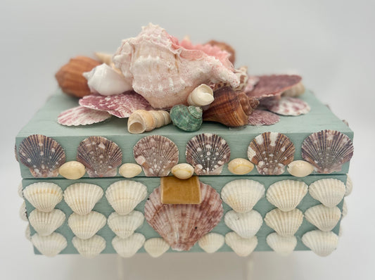 Shell Box