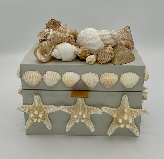 Shell Box