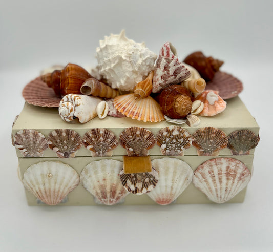 Shell Box