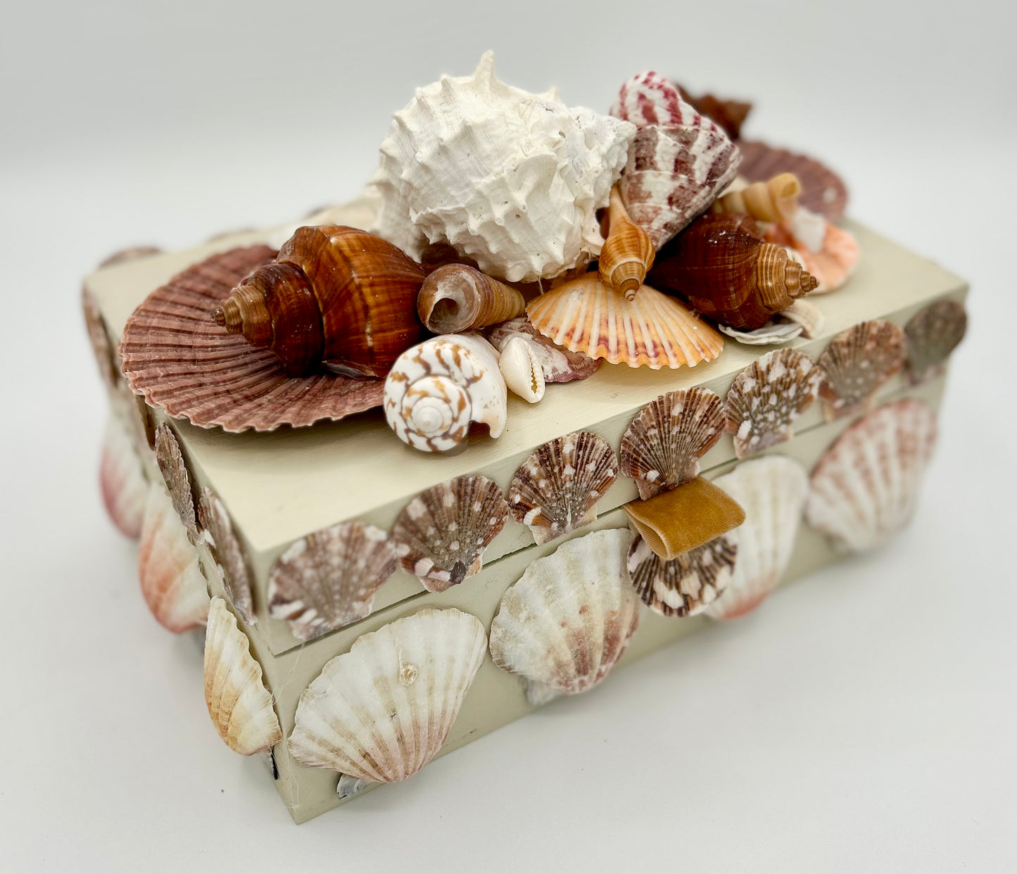 Shell Box