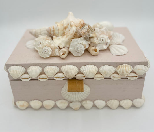 Shell Box