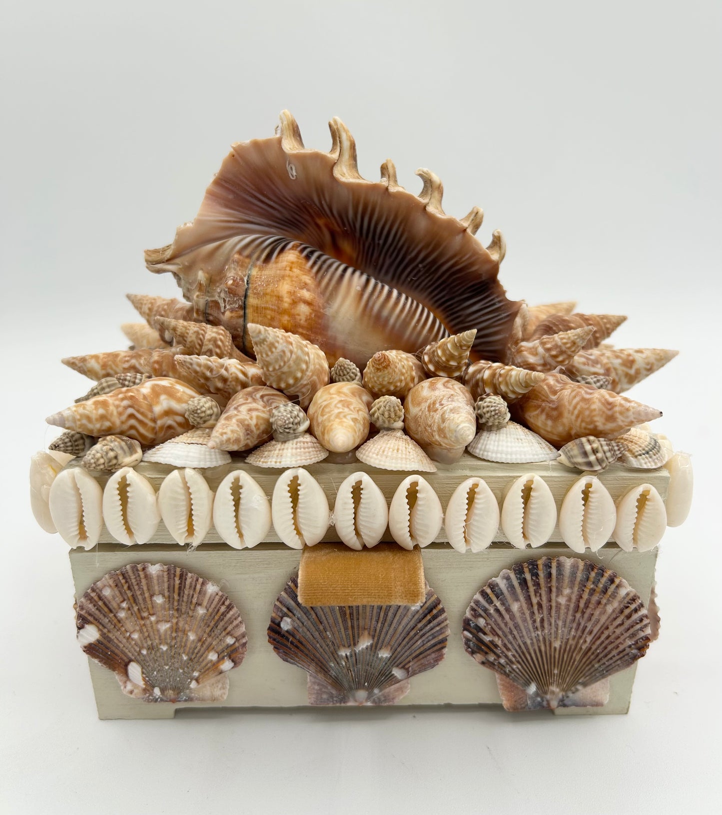 Shell Box