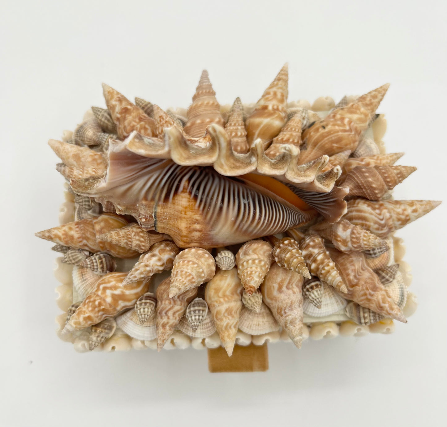 Shell Box