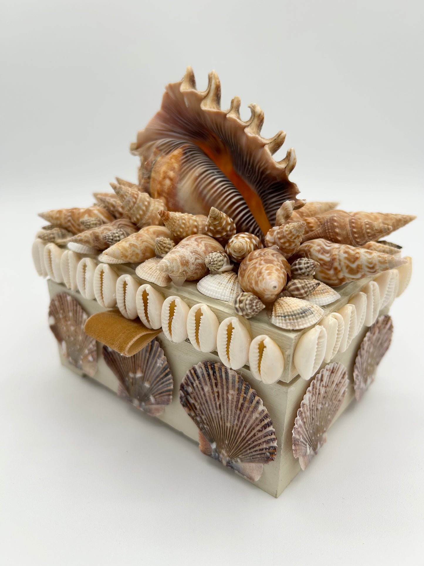 Shell Box