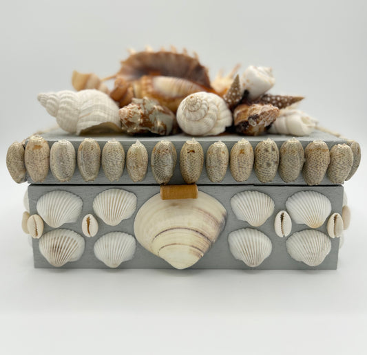 Shell Box