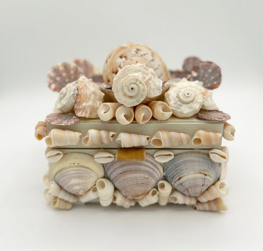 Shell Box