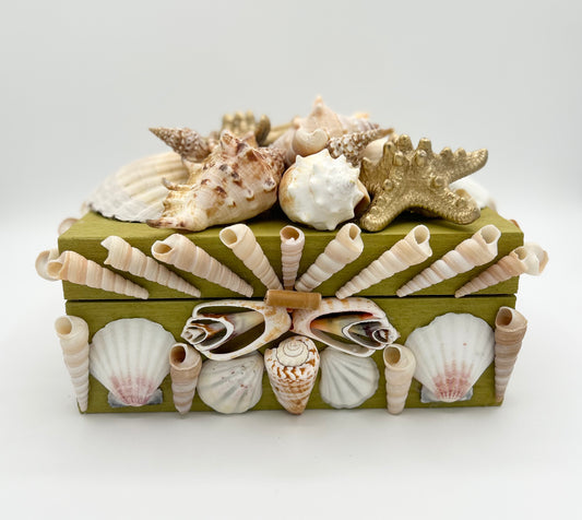 Shell Box