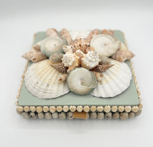 Shell Box