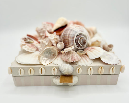 Shell Box