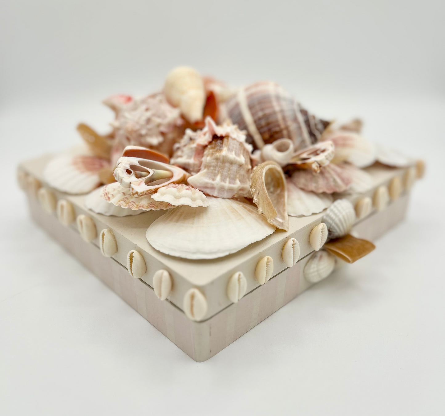 Shell Box