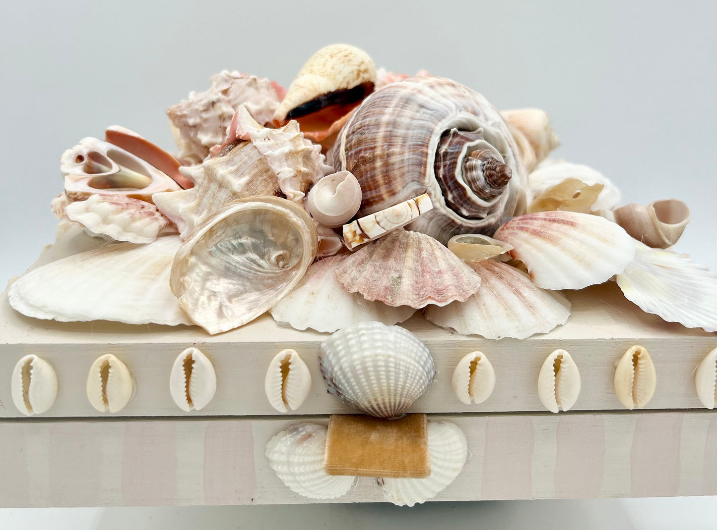 Shell Box