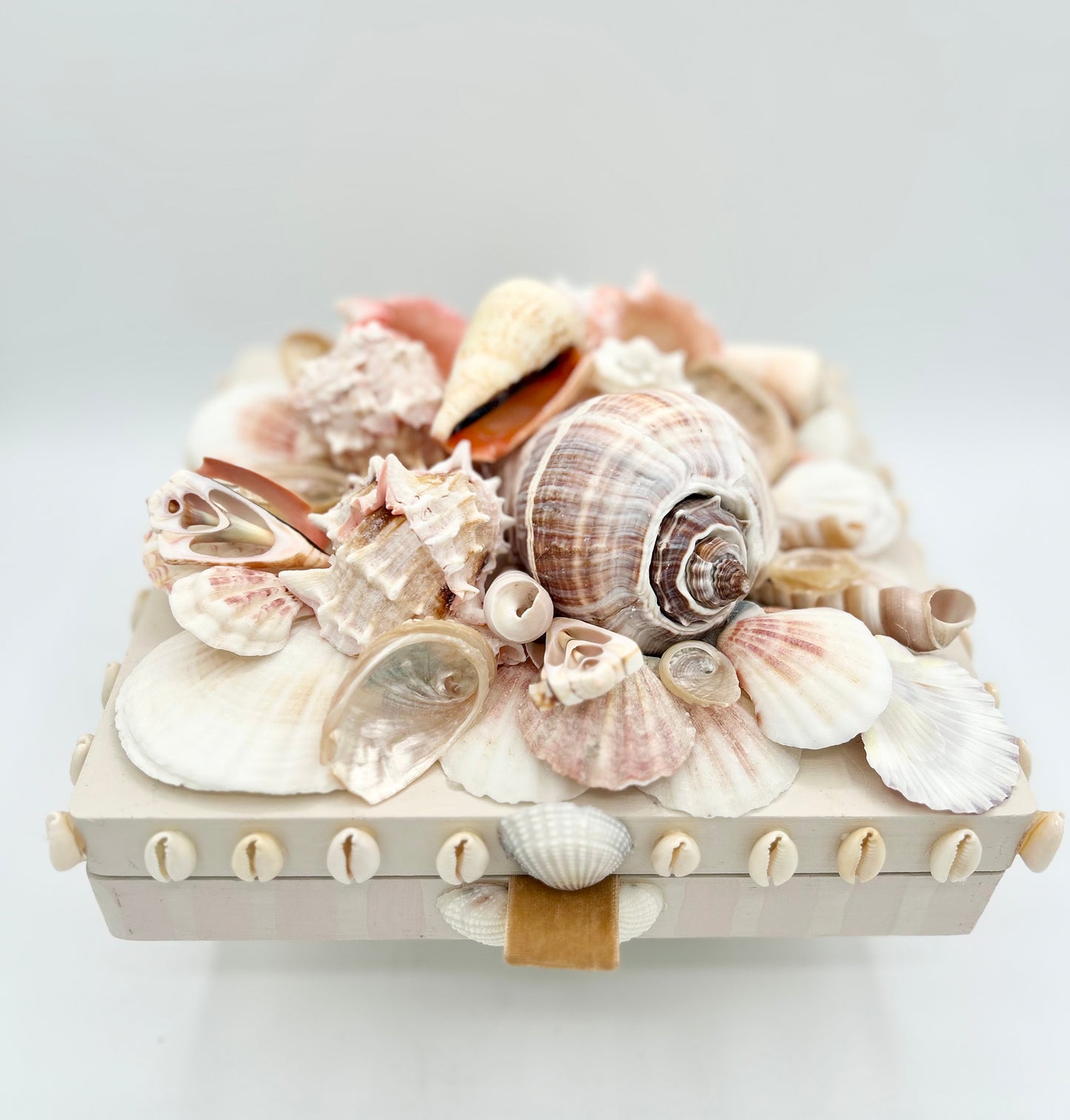 Shell Box