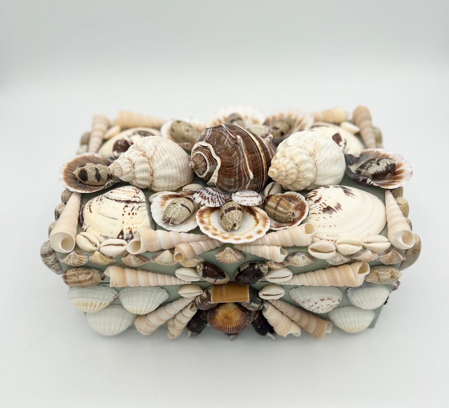 Shell Box