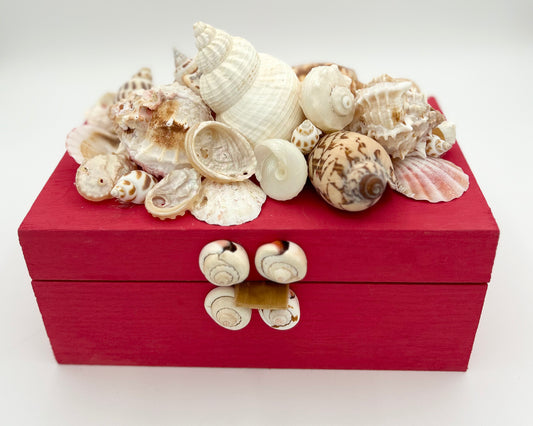 Shell Box