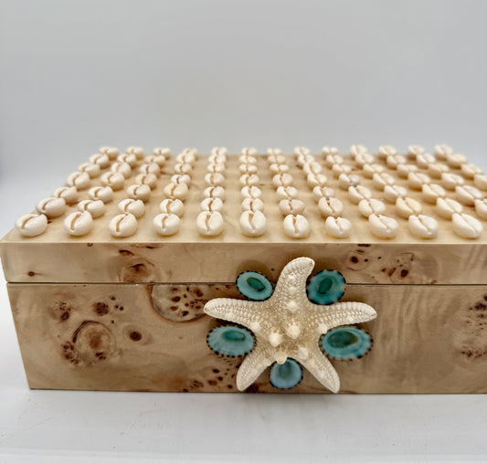 Shell Box
