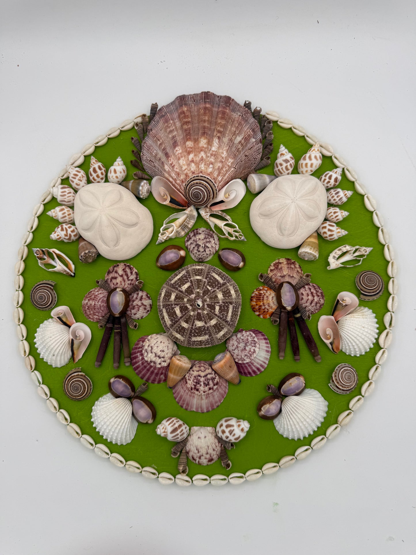 14" Shell Panel