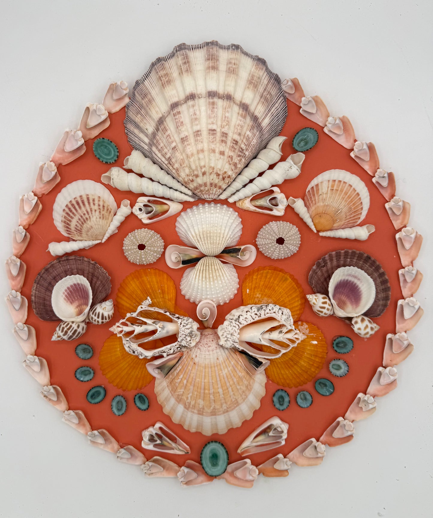 14" Shell Panel