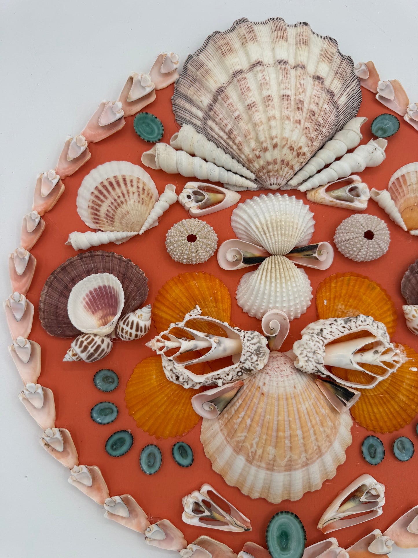 14" Shell Panel