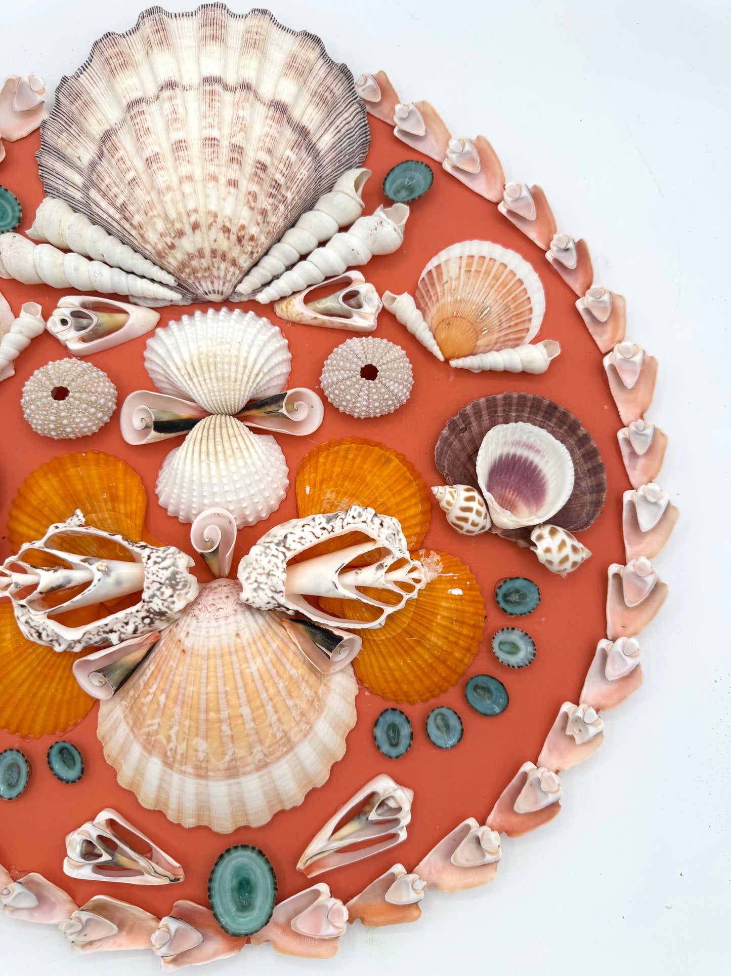 14" Shell Panel