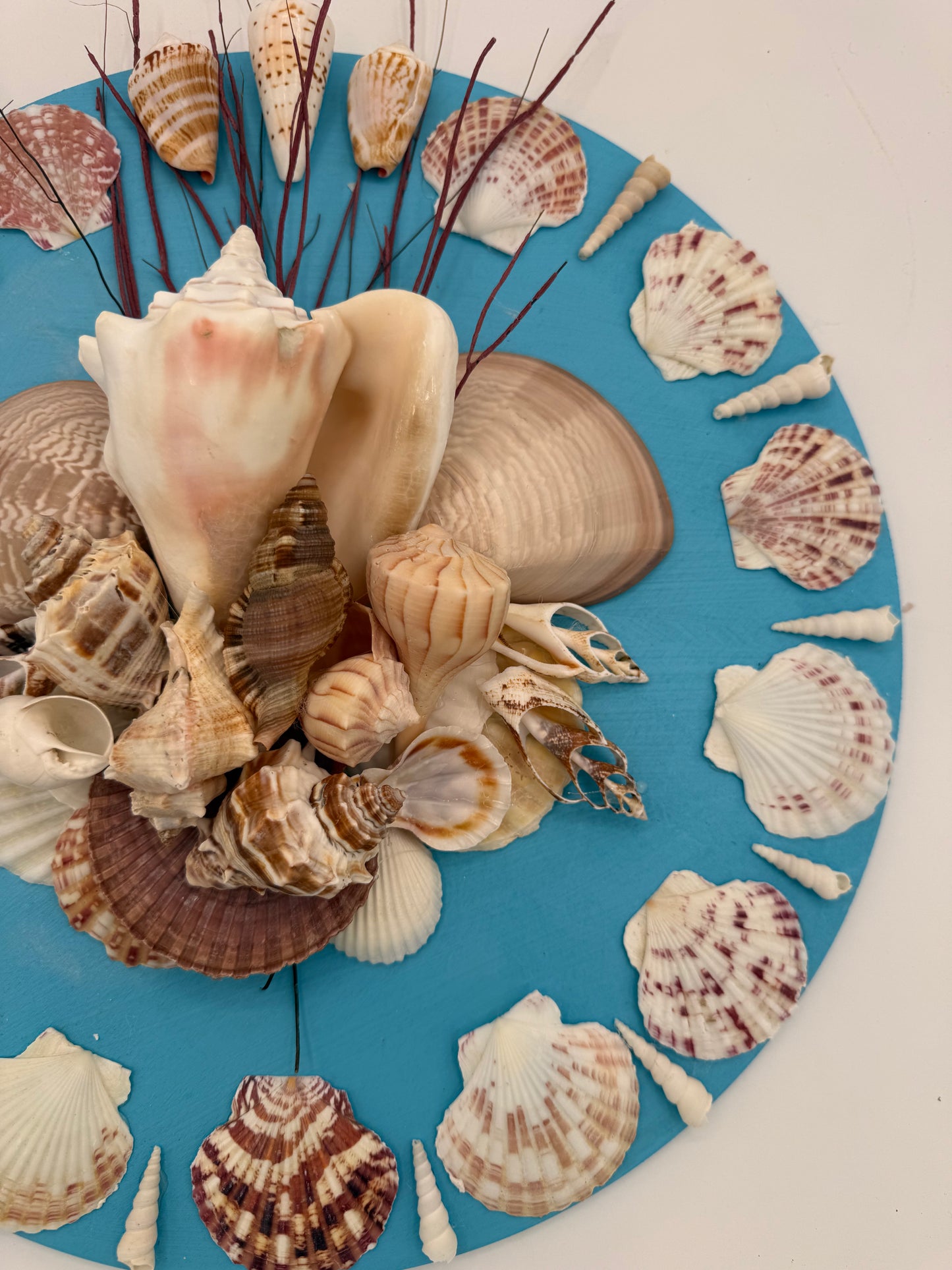 14" Shell Panel