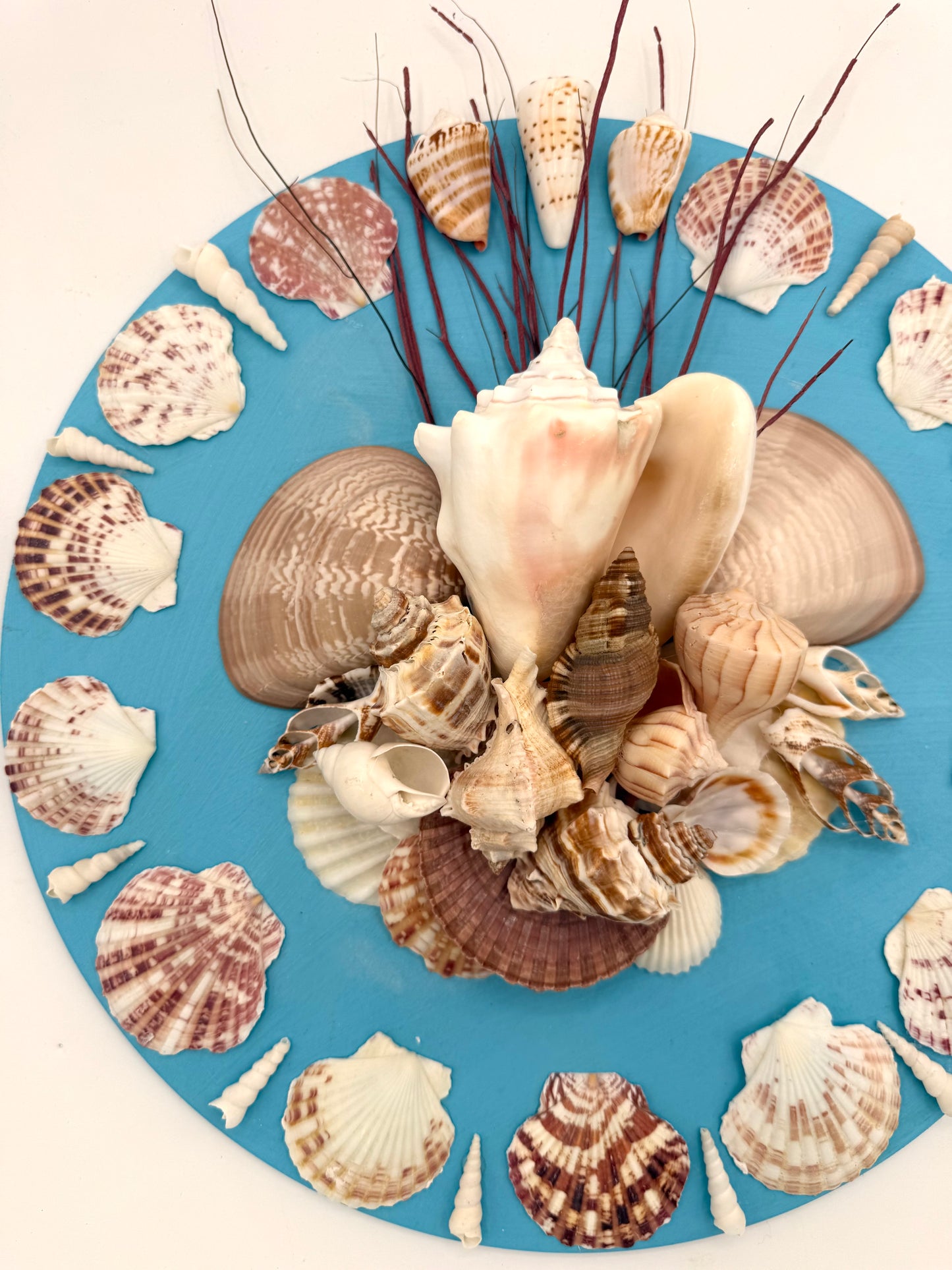14" Shell Panel