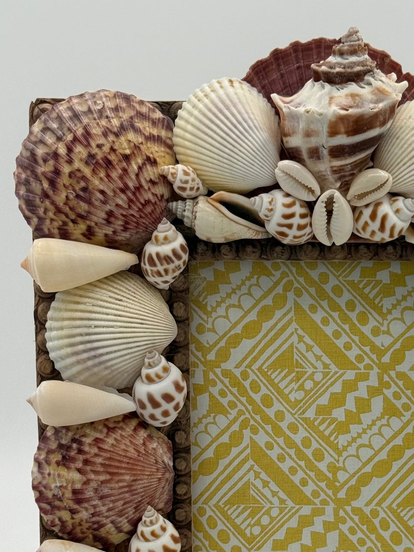 Shell Frame