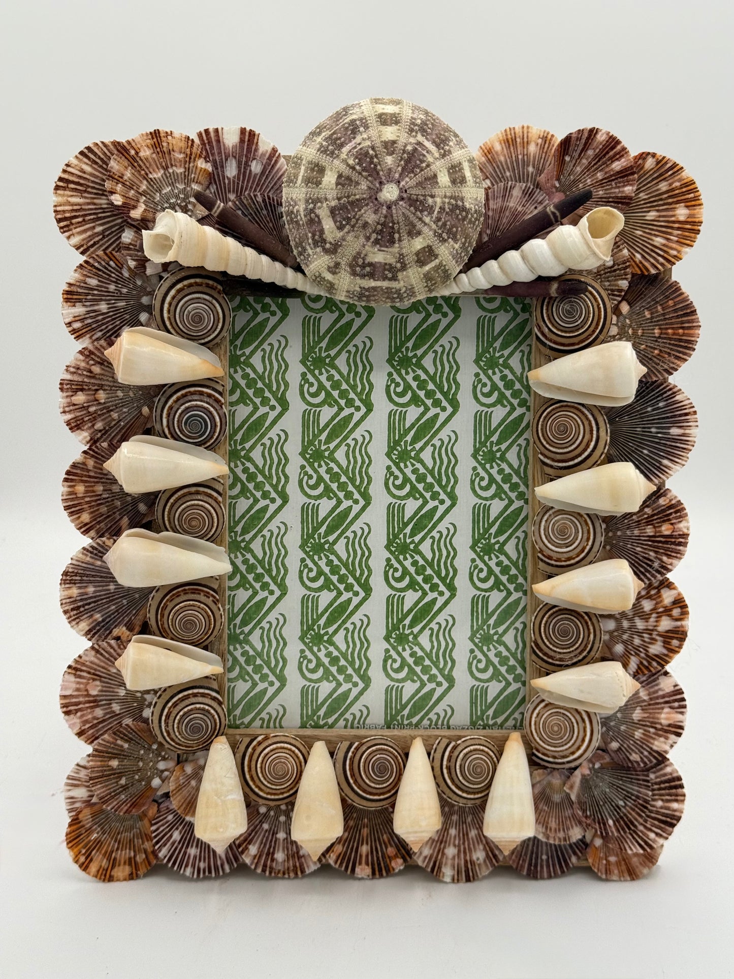 Shell Frame